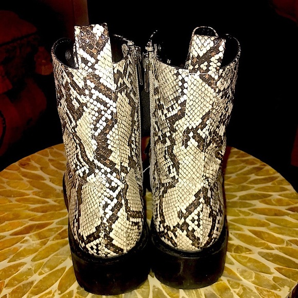 Steve Madden Guided Snake Combat Booties! - Picture 13 of 16